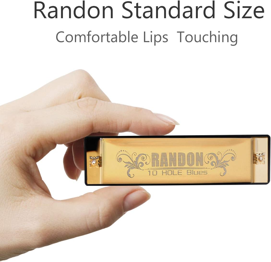 Randon Gold Harmonica Key of C, 10 Holes Diatonic Harmonicas for Adults/Kids/Beginners, Blues Harmonica as Gift, with Case, Clean Cloth and Manual