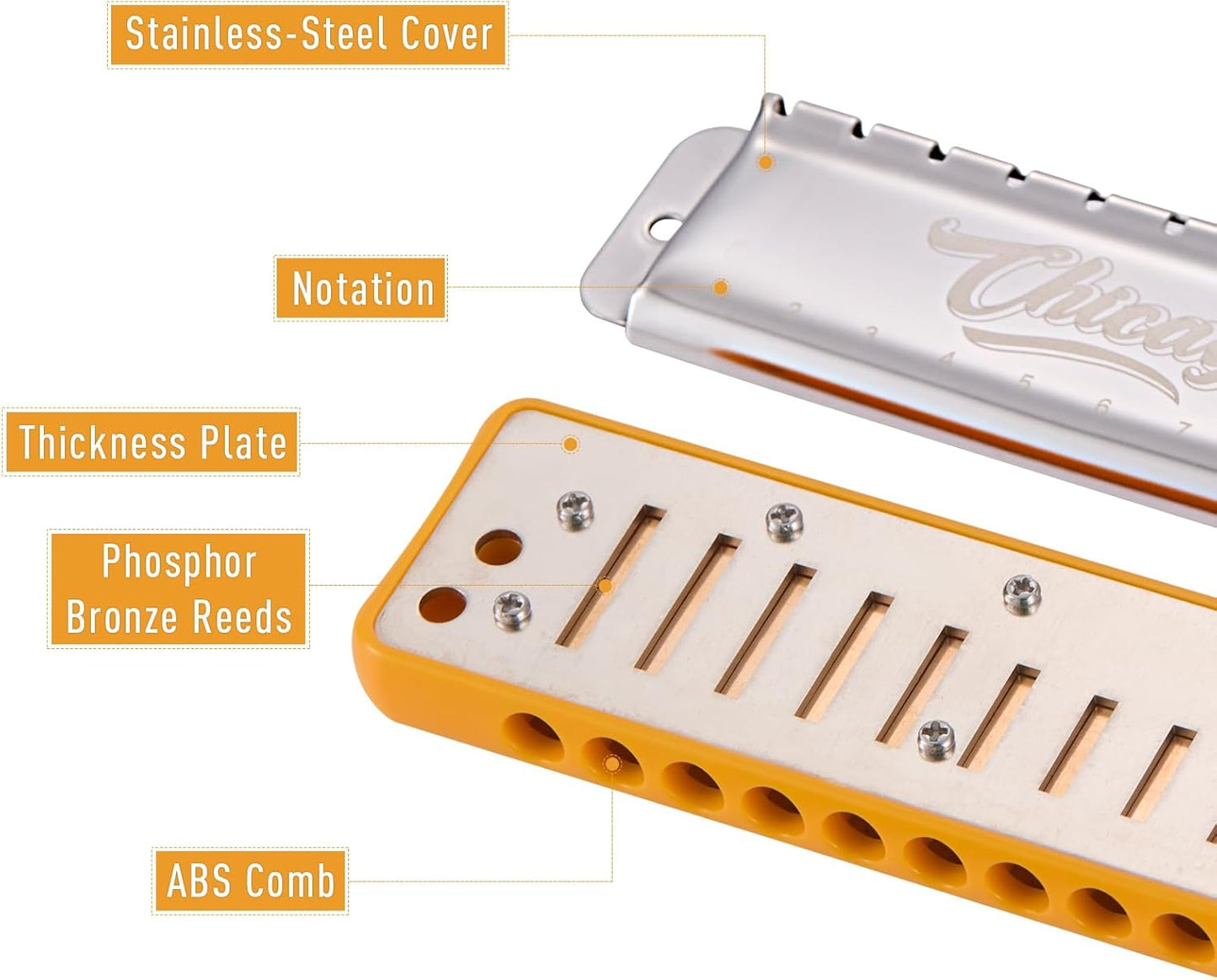 Harmonica JDR Blues Key of G 10 Holes 20 Tones Harps Armonica for Adults Kids Professional Beginners Mini Mouth Organ with Case Chicago