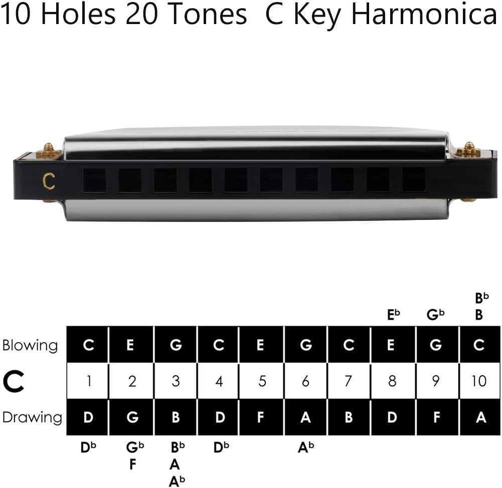 Randon Silver Harmonica Key of C, 10 Holes Diatonic Harmonicas for Adults/Kids/Beginners, Blues Harmonica as Gift, with Case, Clean Cloth and Manual