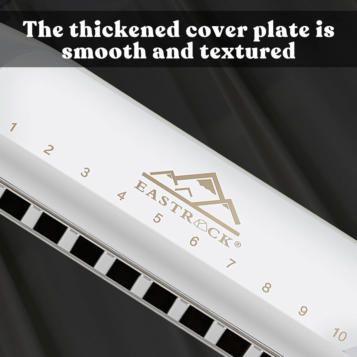 EASTROCK Professional Harmonica, Diatonic Mouth Organ, Key of C, for Adults & Students