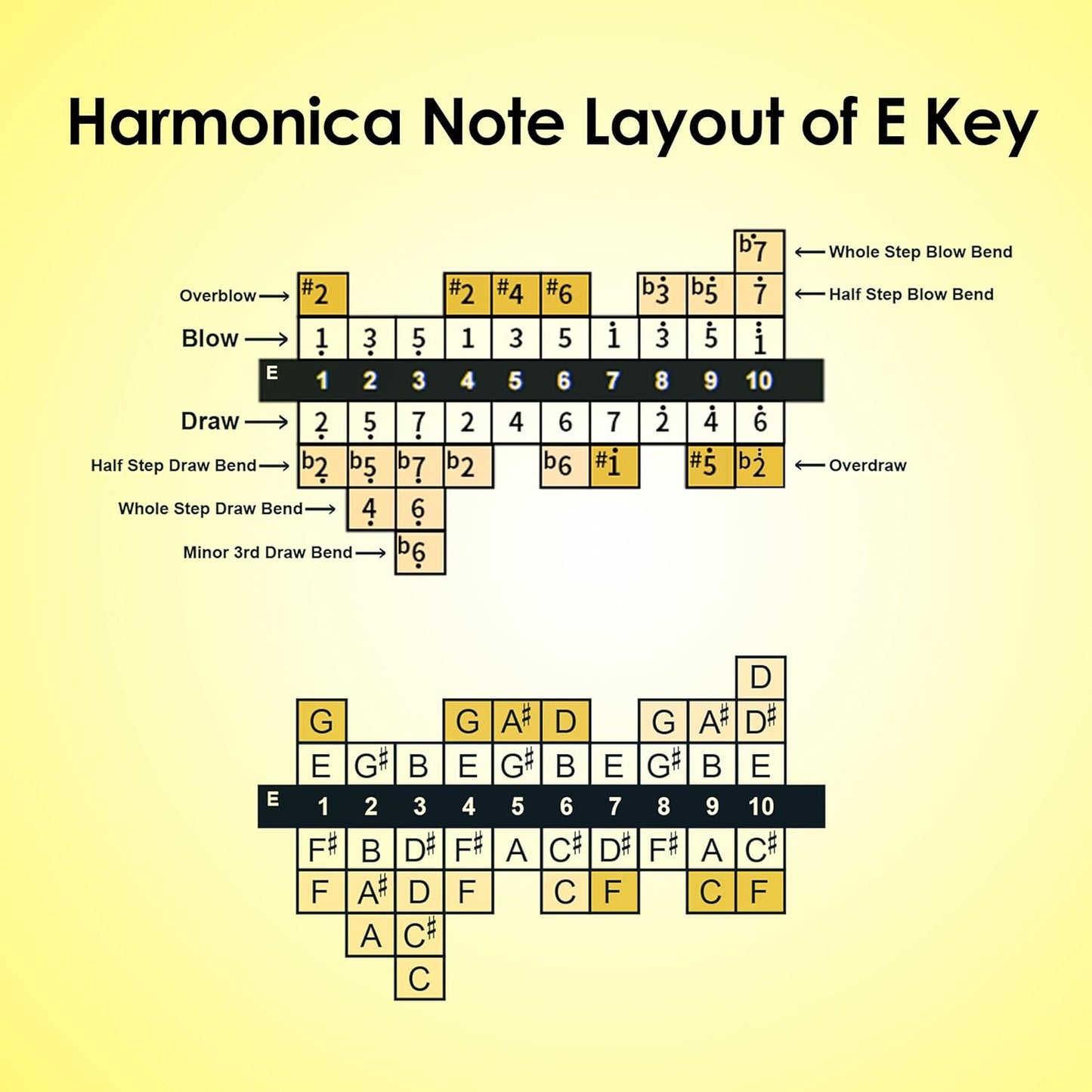 Diatonic Harmonica of E Key,Blues Mouth Organ 10 Holes 20 Tones, Reed of Phosphor Bronze, ABS Combo, Easy-Clean Cover,10 Holes Blues Harp for Adult, Beginner