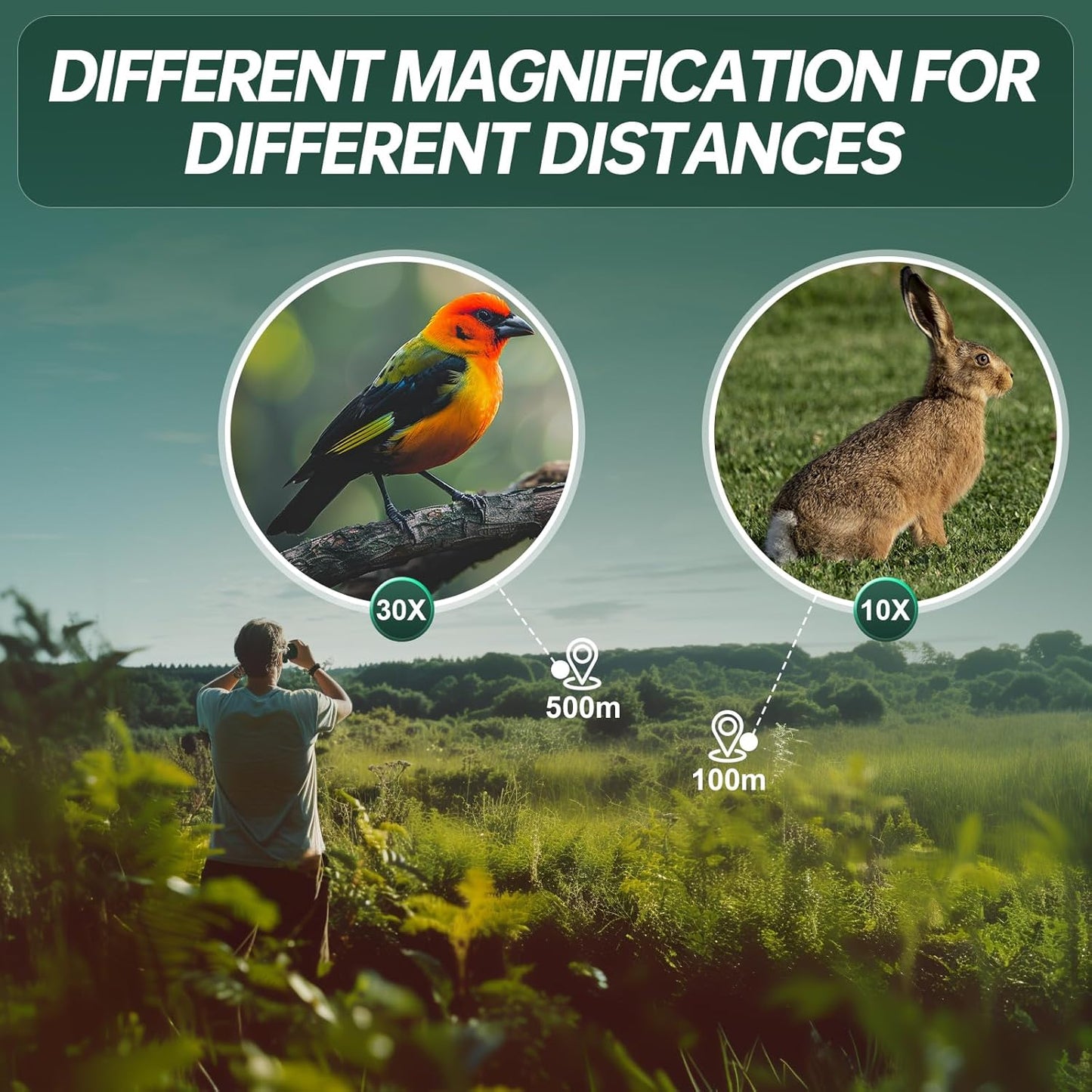 10-30x25 Small Compact Binoculars for Adults - WOZEL High Powered Zoom Binoculars for Bird Watching Hunting Hiking Travel Sports - Lightweight Binocular with Large & Bright Field of View for Kids